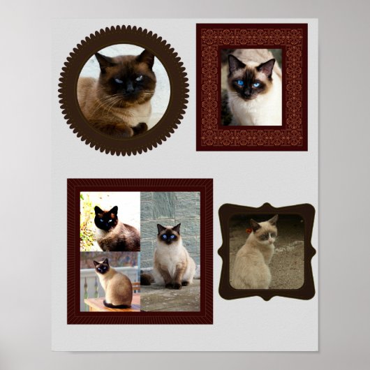 Fotocadeau voor Siamese katten lijst Poster (Voorkant)