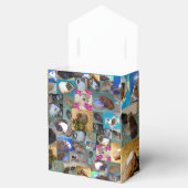 Fotocollage van cavia's bedankdoosjes (Geopend)