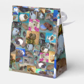 Fotocollage van cavia's bedankdoosjes (Achterkant)