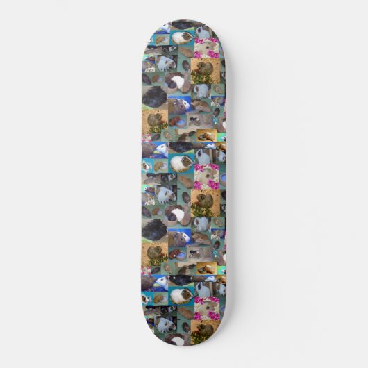 Fotocollage van cavia's, skateboard (Voorkant)