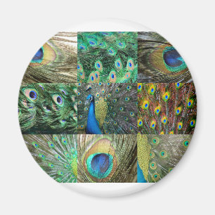 Fotocollage van Green Blue Peacock Magneet