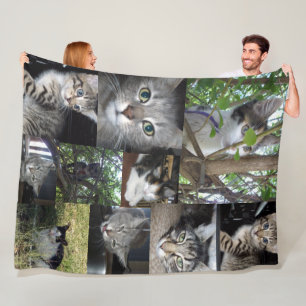 Fotocollage van katten en kitten, fleece deken