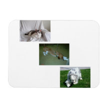 Fotocollage van Moira, Riley en Tyler