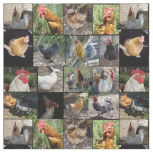 Fotocollage voor kippen en roosters; stof
