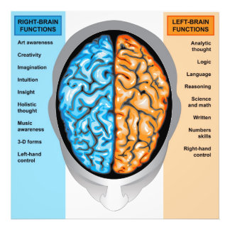 Fotofoto Foto's Human brain left and right functie Foto Afdruk