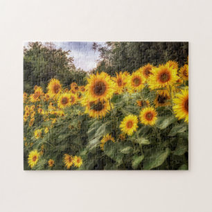 Fotofoto van zonnebloemen legpuzzel