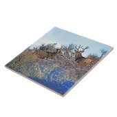 Fotofotografie fotoshop tegeltje (Zijkant)