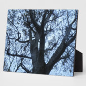 Fotofoto's met structuur Silhouette Fotoplaat (Zijkant)