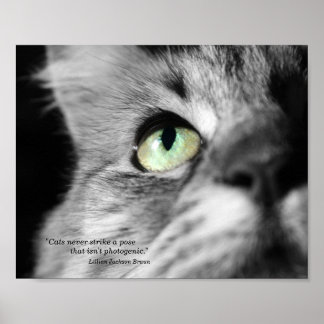 Fotogene kat poster