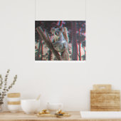 Fotogene Koala Poses voor camera in 3D Poster (Keuken)