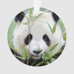 Fotogigant panda, dieren 0291. ornament