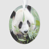 Fotogigant panda, dieren 0292. ornament (voorkant)