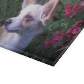 Fotoglazen snijmachine/Charcuterie Board Snijplank (Hoek)