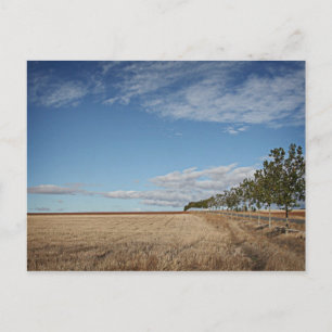 fotografias del Camino de santiago Briefkaart