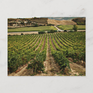 fotografias del Camino de santiago Briefkaart