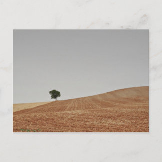 fotografias del Camino de santiago Briefkaart