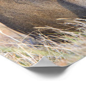 Fotografie bij grote wilde dieren poster (Hoek)