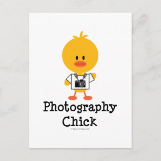 Fotografie Chick Briefkaart