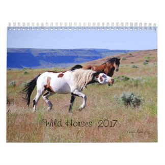 Fotografie door Carolyn, kalender voor wilde paard
