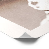  fotografie Hangover met honden Poster (Hoek)