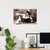  fotografie Hangover met honden Poster (Thuiskantoor)