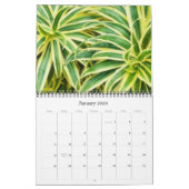 Fotografie in de Natuur kalender (Jan 2026)