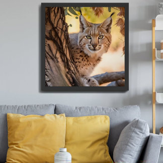 Fotografie in het wild Closeup of Bobcat Poster
