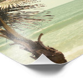 Fotografie kokospalm en pastel foto afdruk (Hoek)