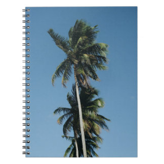 Fotografie met lage hoek van drie kokosbomen notitieboek