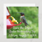 Fotografie met ruby-Throated Hummingbird (Voorkant / Achterkant)