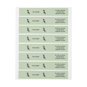 Fotografie met ruby-Throated Hummingbird