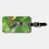 Fotografie met ruby-Throated Hummingbird Bagagelabel (Voorkant horizontaal)