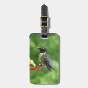 Fotografie met ruby-Throated Hummingbird Bagagelabel