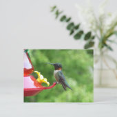 Fotografie met ruby-Throated Hummingbird Briefkaart (Staand voorkant)