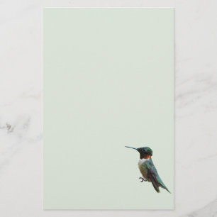 Fotografie met ruby-Throated Hummingbird Briefpapier