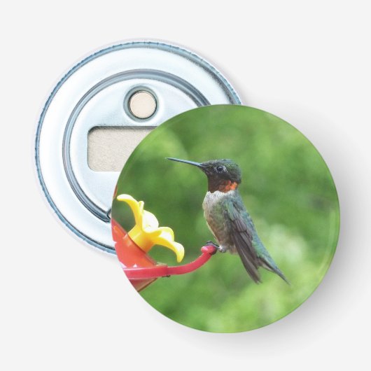 Fotografie met ruby-Throated Hummingbird Button Flesopener (Voorkant)
