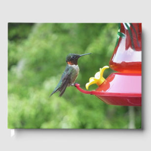 Fotografie met ruby-Throated Hummingbird Gastenboek