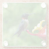 Fotografie met ruby-Throated Hummingbird Glazen Onderzetter (Achterkant)
