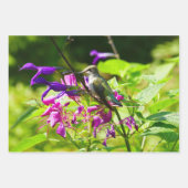 Fotografie met ruby-Throated Hummingbird Inpakpapier Vel (Voorkant 3)