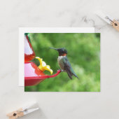 Fotografie met ruby-Throated Hummingbird Kaart (Voorkant / Achterkant in situ)