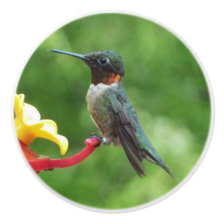 Fotografie met ruby-Throated Hummingbird Keramische Knop
