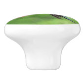 Fotografie met ruby-Throated Hummingbird Keramische Knop (Zijkant)