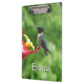 Fotografie met ruby-Throated Hummingbird Klembord (Links)
