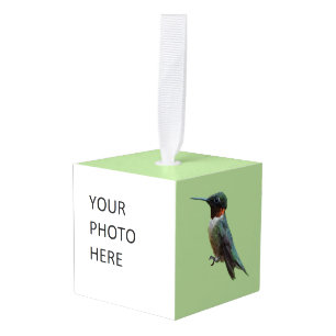 Fotografie met ruby-Throated Hummingbird Kubus Ornament