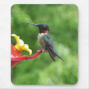 Fotografie met ruby-Throated Hummingbird Muismat