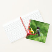 Fotografie met ruby-Throated Hummingbird Notitieboek (Binnen)