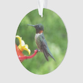 Fotografie met ruby-Throated Hummingbird Ornament (voorkant)