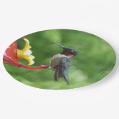 Fotografie met ruby-Throated Hummingbird Papieren Bordje (Gekanteld)