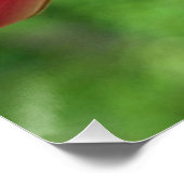 Fotografie met ruby-Throated Hummingbird Perfect Poster (Hoek)