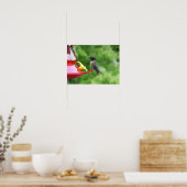 Fotografie met ruby-Throated Hummingbird Poster (Keuken)